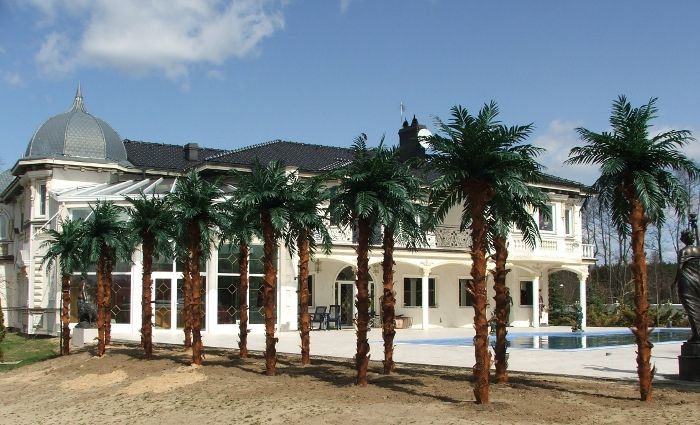 Wizualizacja palmy
