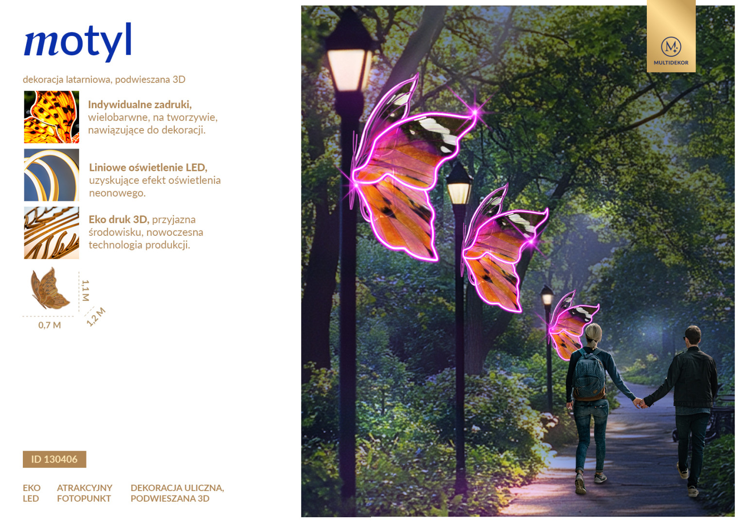 Motyl 3