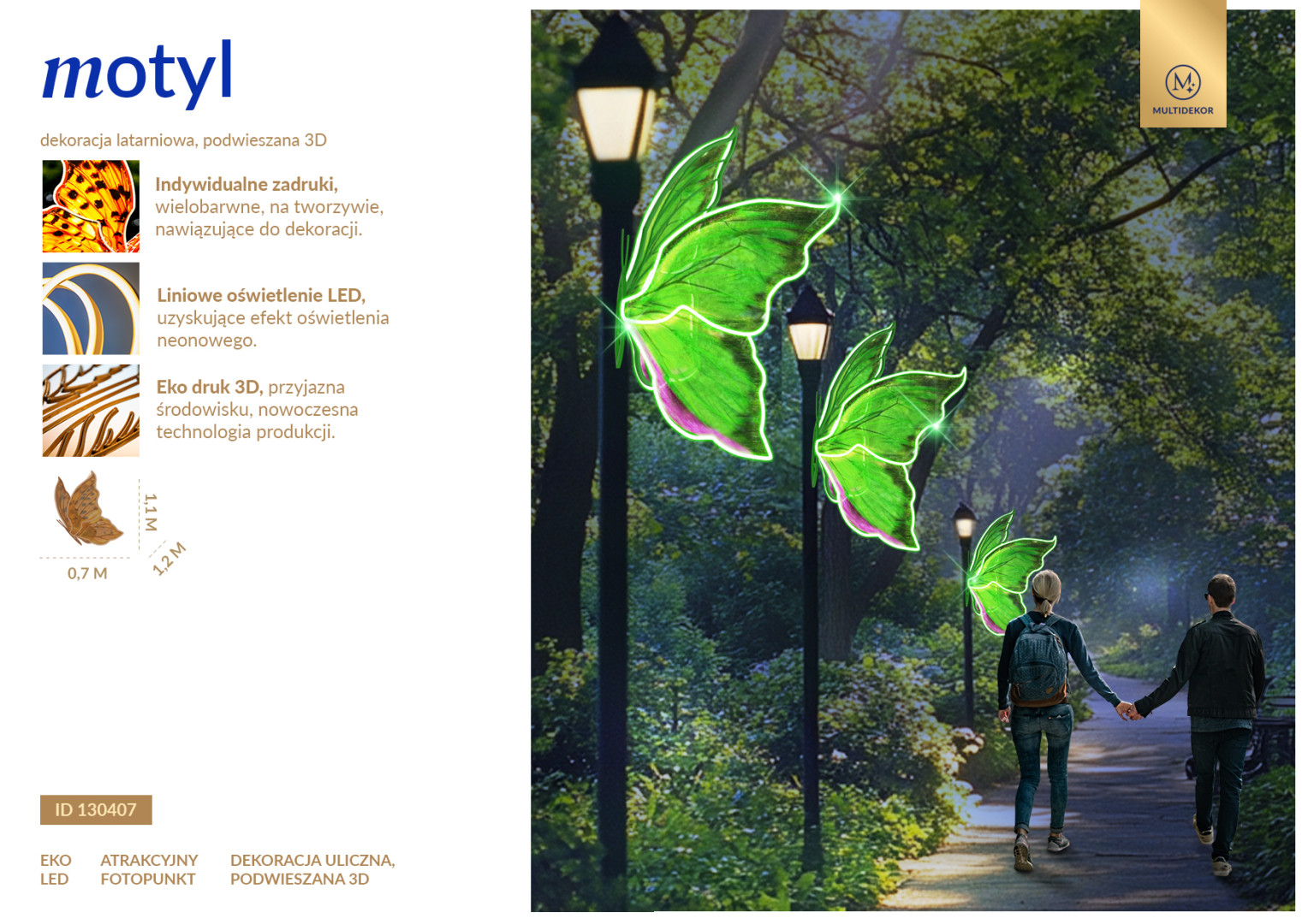 Motyl 2